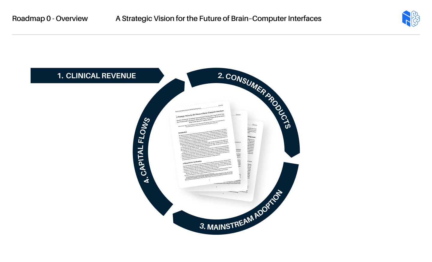 PL BCI Roadmap Series: Overview — A Strategic Vision for the Future of Brain–Computer Interfaces